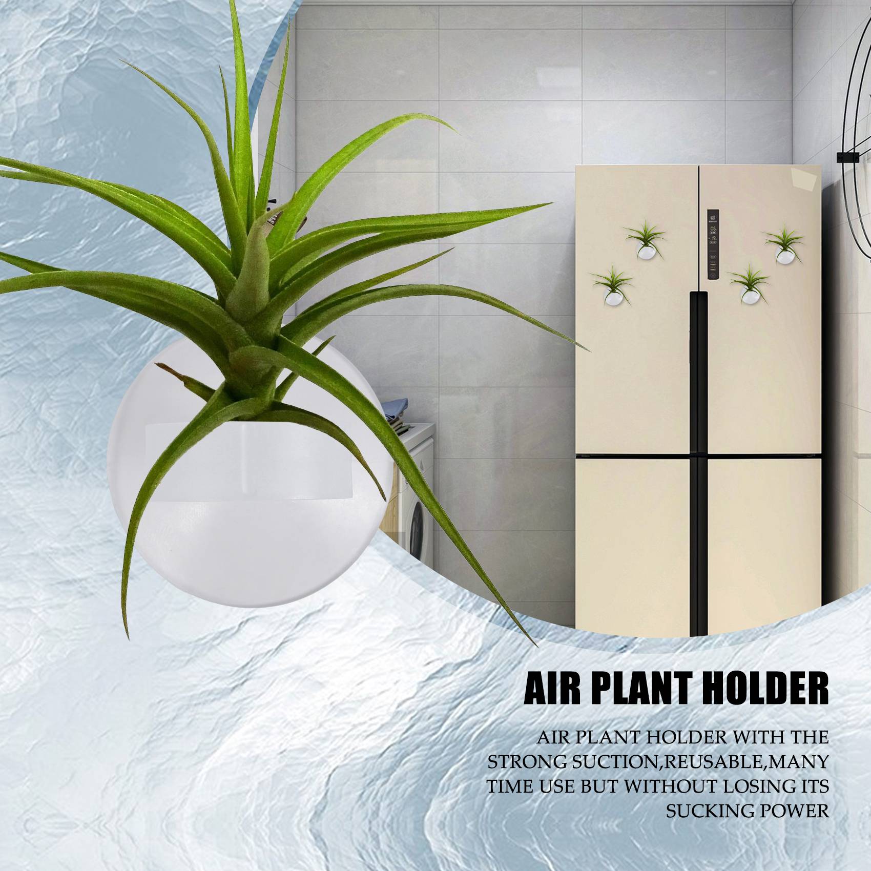 Air Plant Tillandsia - AC76-20 szt. Uchwyt na rośliny powietrzne,