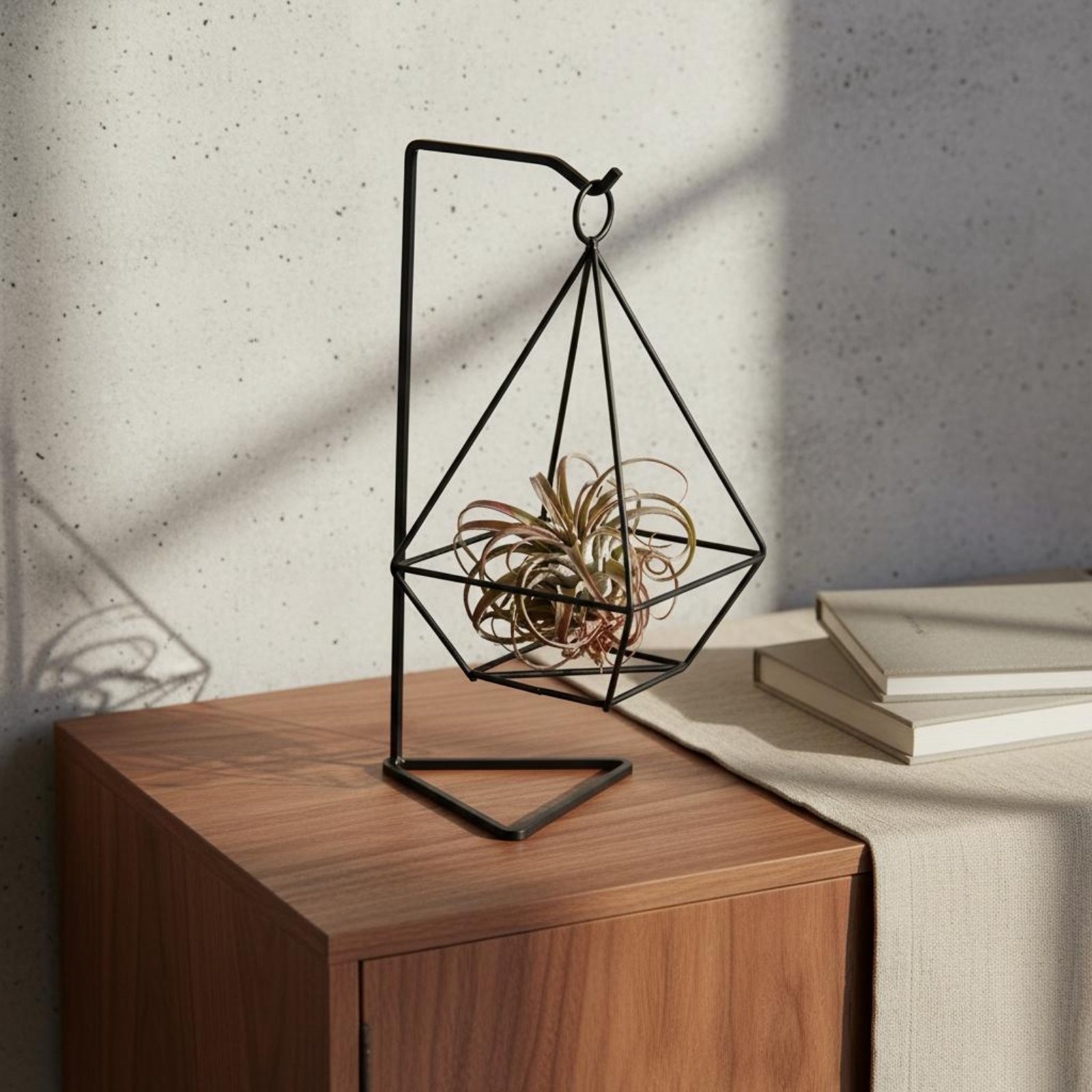 Air Plant Tillandsia - Geometryczny stojak na rośliny powietrzne, minimalistyczny