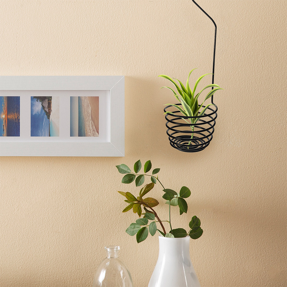 3 szt. spiralnych metalowych u – Air Plant Tillandsia recenzja i cena