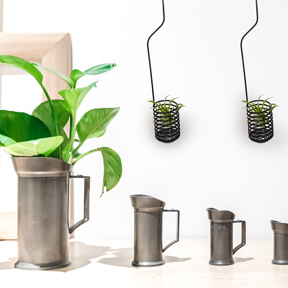 3 szt. spiralnych haczyków na  – Air Plant Tillandsia recenzja i cena