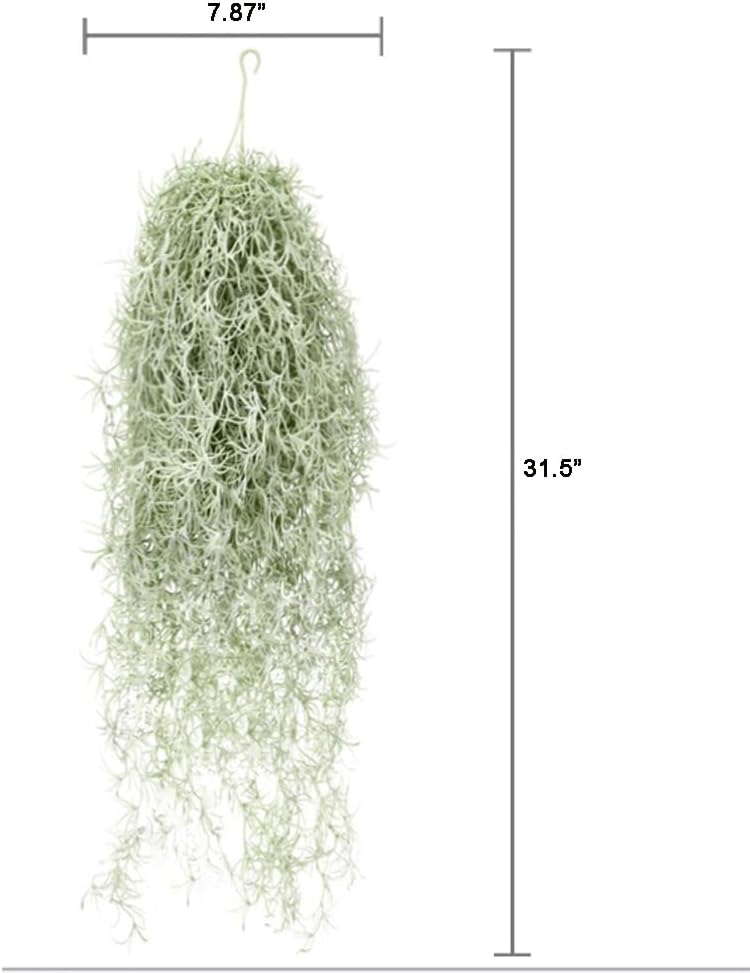 Sztuczne flokowanie Tillandsia – Air Plant Tillandsia recenzja i cena