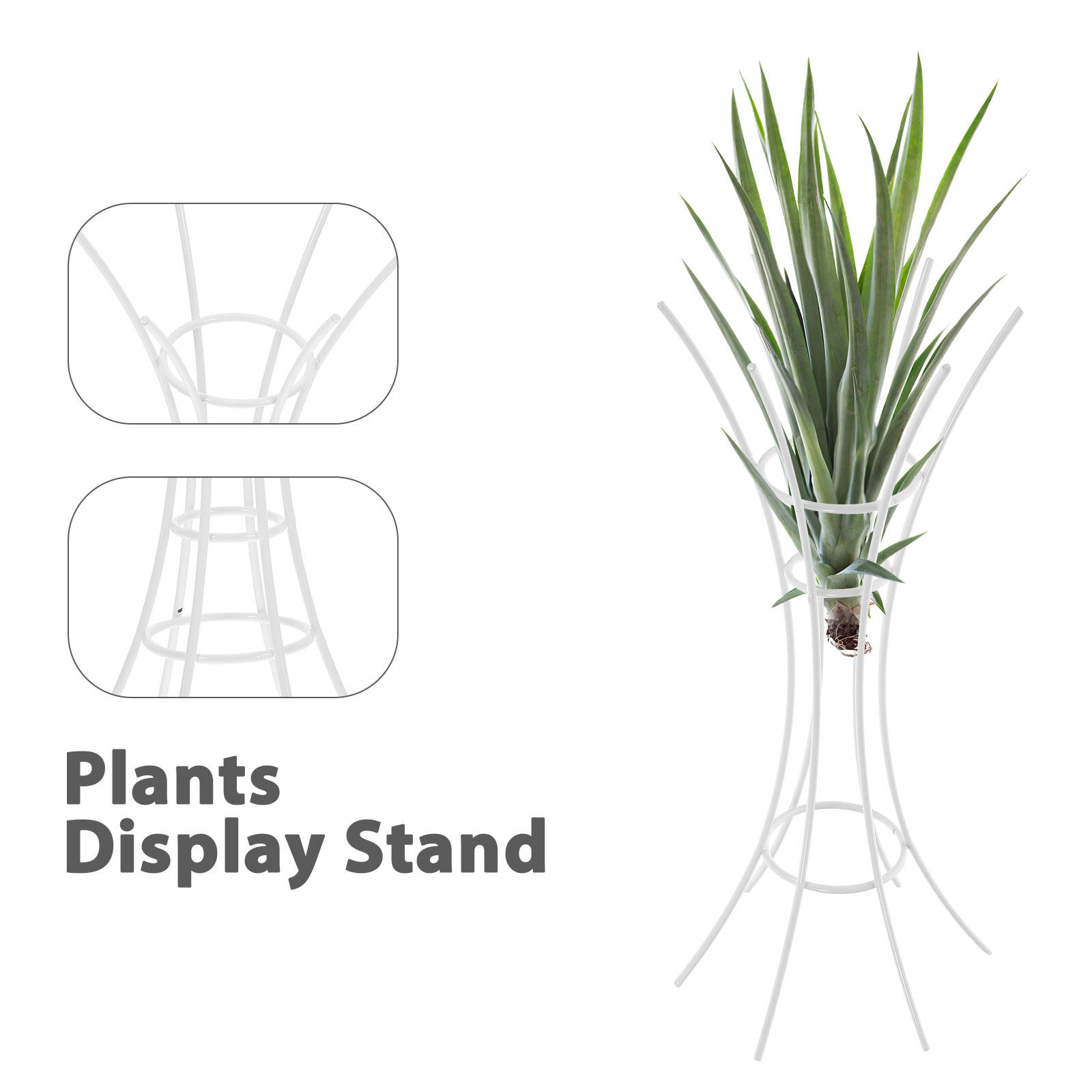 Stojak na rośliny powietrzne,  – Air Plant Tillandsia recenzja i cena