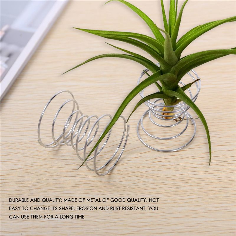 Gorąca Sprzedaż - 6 Sztuk Stoj – Air Plant Tillandsia recenzja i cena