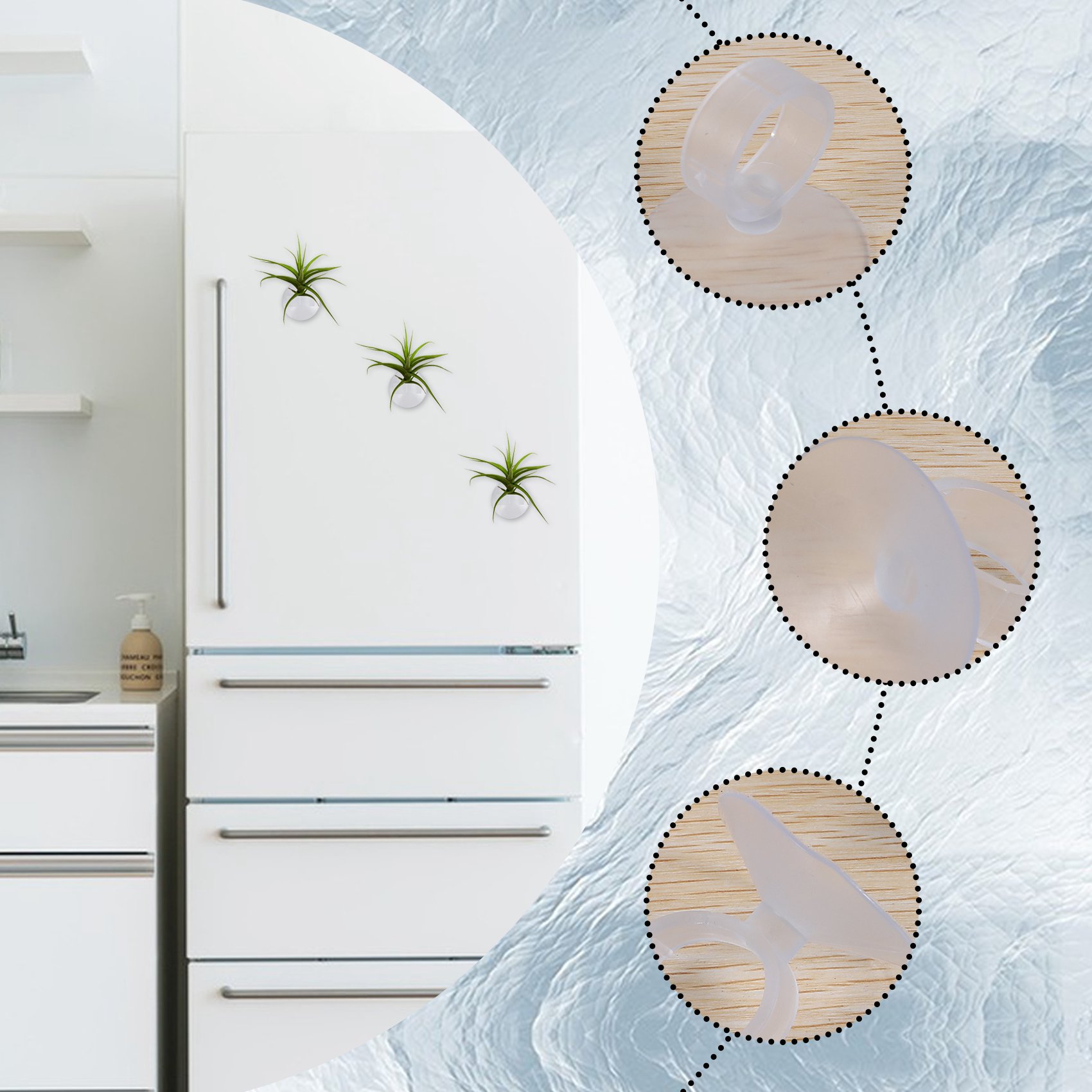 AC76-20 szt. Uchwyt na rośliny – Air Plant Tillandsia recenzja i cena