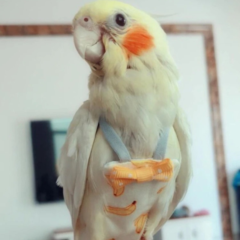Pielucha dla papugi z muszką Ś – Plant Parenthood recenzja i cena