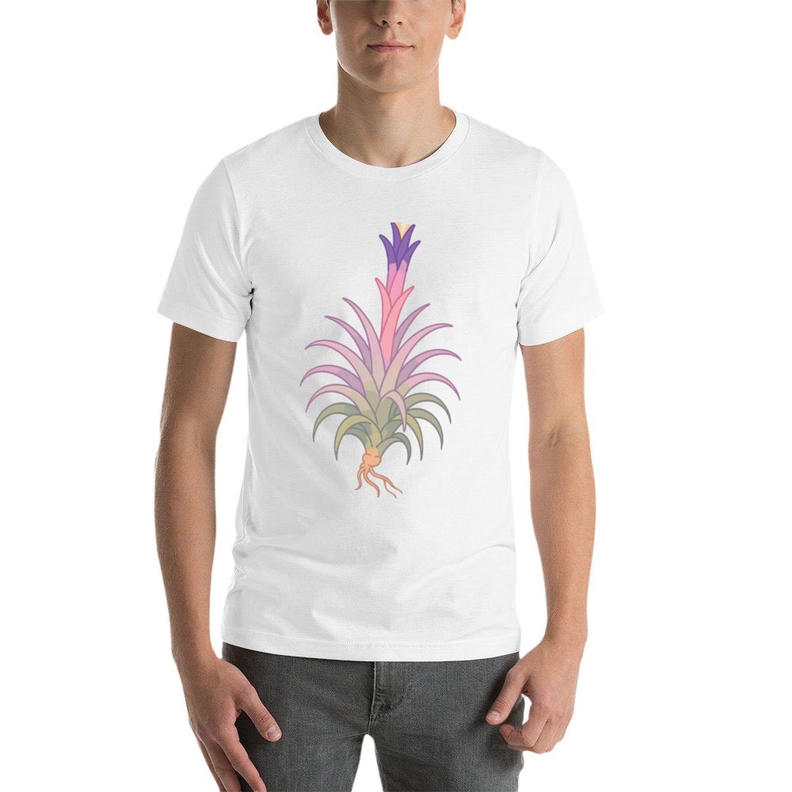 Koszulka męska z nadrukiem kol – Air Plant Tillandsia recenzja i cena