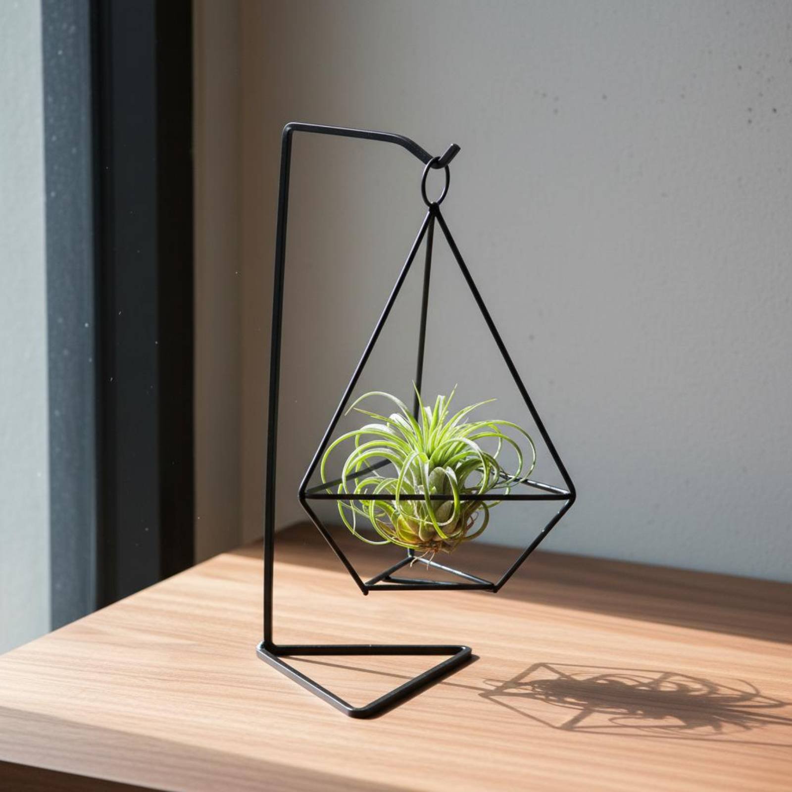 Geometryczny stojak na rośliny – Air Plant Tillandsia recenzja i cena