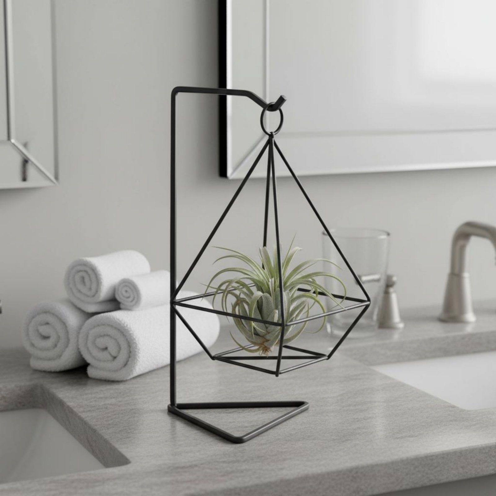 Geometryczny stojak na rośliny – Air Plant Tillandsia recenzja i cena