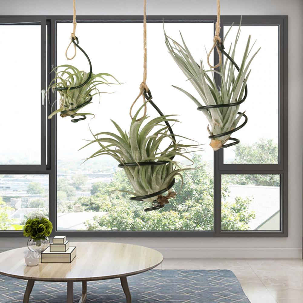 Metalowy stojak na rośliny, 6  – Air Plant Tillandsia recenzja i cena