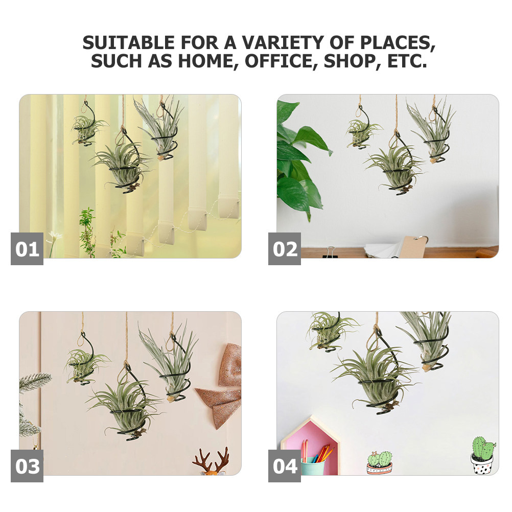 18 Czarne Małe Druciane Stojak – Air Plant Tillandsia recenzja i cena