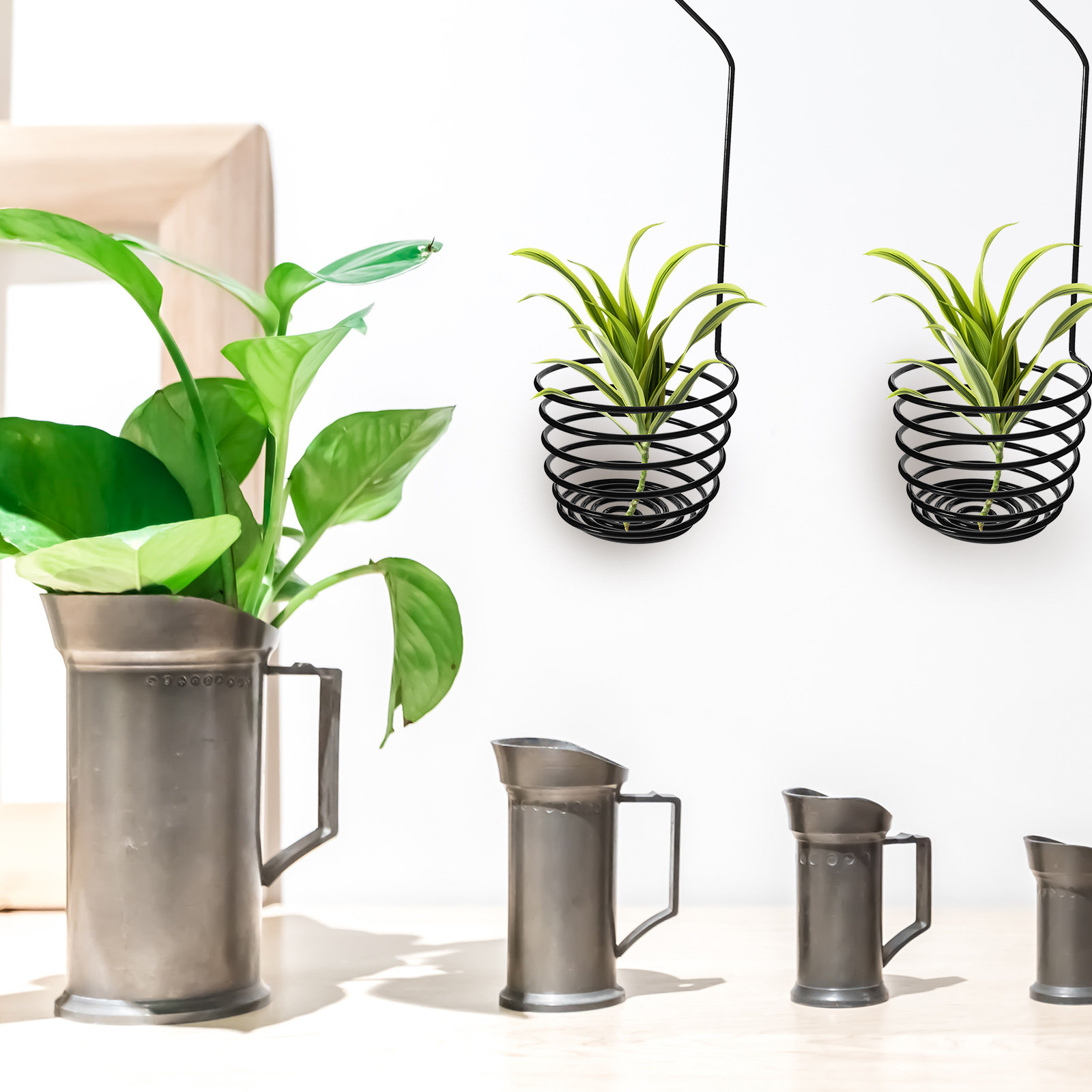 2 szt. żelaznych wieszaków na  – Air Plant Tillandsia recenzja i cena