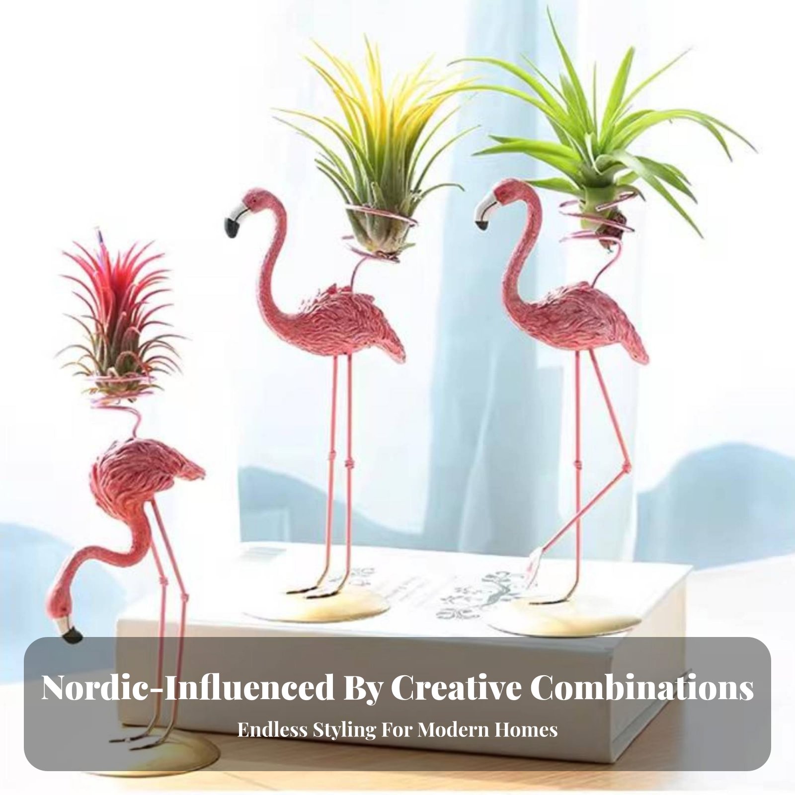 Geometryczny uchwyt na Tilland – Air Plant Tillandsia recenzja i cena